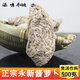 蘊召正宗永新醬蘿卜500g農家自制蘿卜干煲湯作料江西井岡山土特產(chǎn)