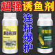 鯉肽香和懶氨開(kāi)口粉釣魚(yú)小藥誘食開(kāi)口劑鯽青草鰱鳙魚(yú)餌料窩 鯉肽香+賴(lài)氨開(kāi)口劑 各一瓶