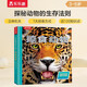 樂樂趣趣味科普立體書：掠食動物 3D立體翻翻書7-10歲科普百科全書少兒機關書