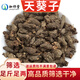 珈祁堂 天葵子中藥材 紫背天葵 天葵 天葵草  金耗子屎 夏無(wú)蹤 天葵籽 天葵子500克【新貨】