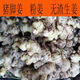 廣東本地大肉姜豬腳姜新鮮嫩姜高明無(wú)渣豬腳姜泡姜無(wú)渣 豬腳姜5斤（超值）