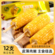 黃小主兒糯香玉米東北黏糯玉米棒非轉(zhuǎn)基因玉米新鮮甜糯玉米粗糧早餐低脂代餐粘玉米 黃小主玉米12支130g*12
