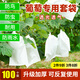 曇蓓漫葡萄套袋露天葡萄專(zhuān)用袋育果袋防蟲(chóng)防水防菌水果網(wǎng)袋紙袋套果袋 【22*32cm/2斤內使用】葡萄套袋 100個(gè)裝丨升級加厚丨可反復使用