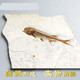 神至生物化石標本 遼西古生物狼鰭魚(yú)動(dòng)物裸板原石擺件科普教學(xué)SN5462