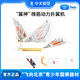 ZT MODEL翼神撲翼機手拋飛機玩具橡皮筋動(dòng)力飛機兒童戶(hù)外玩具男孩滑翔飛機 翼神橡筋動(dòng)力撲翼機（卡紙版）