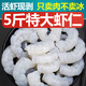 5斤無冰蝦仁鮮凍青蝦仁商用鮮凍批發(fā)冷凍蝦仁去蝦線新鮮特大蝦仁 5包5斤大蝦仁