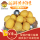 uncle lemon四川特產(chǎn)安岳新鮮黃檸檬當(dāng)季水果皮薄奶茶店切片榨汁泡茶三級果 3斤三級果實惠裝