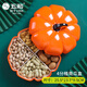 五和（WUHE）南瓜糖果盒零食收納分格盒喬遷創(chuàng  )意現代客廳茶幾家用干果盒堅果盤(pán) 南瓜糖果盒【四格內】