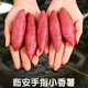 舅甜果蔬（現(xiàn)挖速發(fā)）正宗臨安天目山小香薯紅薯 農(nóng)家自種金手指迷你香薯 5斤 精品中果