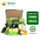 愛(ài)農(nóng) 有機(jī)新鮮蔬菜禮盒 生鮮  H款