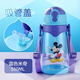 迪士尼（Disney） 寶寶水杯兒童直飲水壺小孩大容量防漏水瓶幼兒喝水杯子學(xué)生運(yùn)動(dòng) 3359米奇藍(lán)550ml 單蓋吸管款