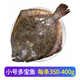 【京東冷鏈】多寶魚(yú)鮮活速凍特大比目魚(yú)新鮮大菱鲆冷凍鴉片魚(yú)整條 小號1條裝 350g