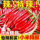 高山小米辣椒新鮮小米椒特辣朝天椒批發(fā)山東云南廣東廣西 高山種植新鮮特辣3斤