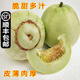 辰實【順豐】湖北甜瓜 白皮小香瓜新鮮水果 脆瓜梨瓜白糖罐甜瓜 5斤