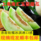 源枝園味（YUANZHIYUANWEI）【現(xiàn)摘現(xiàn)發(fā)】上海南匯玉菇甜瓜香瓜 青皮綠肉瓜軟糯香甜新鮮水果 帶箱5斤裝