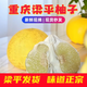 果益壽  正宗梁平柚子重慶特產(chǎn)10斤梁山柚麻柚子白心柚新鮮當季孕婦水果 10斤 普通紙箱