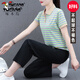 啄木鳥(niǎo)運動(dòng)套裝女純棉時(shí)尚運動(dòng)服夏裝2025新款洋氣休閑條紋polo領(lǐng)兩件套 TJ-AK01豆綠 (純棉上衣+冰絲褲) XL（110斤-125斤）