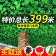 魅扣仿真葡萄葉藤條吊頂樹(shù)葉子假花藤蔓水管道裝飾纏繞綠植物塑料綠葉 399米中號(hào)葉【15葡萄15燈籠】