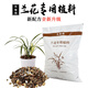 華香園蘭花專用土種植營養(yǎng)土植料基質(zhì)土壤泥土春蘭蕙蘭建蘭墨蘭花苗 蘭花專用植料9升+50克緩釋肥