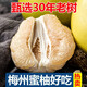 背虎嶺梅州蜜柚白心柚子中秋禮盒白肉水晶蜜柚當季新鮮水果現摘整箱應季 大果（1-3個(gè)）帶箱4-5斤