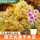 德沃多肥料水苔約12L(特級)營養(yǎng)土爬寵烏龜冬眠蝴蝶蘭君子蘭花苔蘚種植盆栽