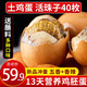 崠鮮活珠子新鮮13天五香香辣味開袋即食毛蛋活珠子雞胚蛋熟鋼化蛋雞蛋 五香20+香辣20 共40枚1600g