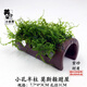 蝦洞莫斯蝦窩水族孵化罐小魚(yú)躲避洞水晶蝦躲避屋散莫斯造景水草泥 小孔半柱 莫斯款