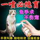 貓咪抑情禁情液母貓發(fā)情期抑制貓發(fā)情公母貓抑情禁情粉貓鬧防貓叫 貓咪禁情噴霧【一瓶裝】