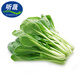 聽蔬有機(jī)小松菜 小油菜 新鮮蔬菜綠葉菜 清犁有機(jī)認(rèn)證小青菜小菘菜 500g