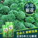 健頤年【官方店旗艦】三七花云南文山特級頭茬新花四年生田七花茶 精選4年花瓶裝【250克】