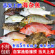 蜜鈺鮮青島海雜魚(yú)多種混搭新鮮海捕海魚(yú)鯧魚(yú)米魚(yú)黃花魚(yú)鲅魚(yú)紅頭魚(yú)紅娘魚(yú) 5斤海雜魚(yú)(個(gè)頭較大