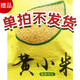 皇純淡干海參 底播刺參干貨 特產(chǎn) 禮品 海參搭檔小米 128g*1袋 單拍不發(fā)貨