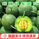 囧仙子頭茬綠寶甜瓜新鮮香瓜脆瓜當(dāng)季新鮮水果批發(fā)5斤 5斤精選裝 綠寶甜瓜