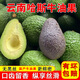 味小仙云南哈斯牛油果 新鮮國產(chǎn)牛油果高山種植水果生鮮 4個(gè) 特大果（單果160-190g）