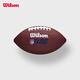 威爾勝（Wilson）官方NFL FLAG橄欖球PU持久耐用訓(xùn)練復(fù)合皮材質(zhì)運(yùn)動(dòng)訓(xùn)練專業(yè)橄欖球 7號(hào) WF3008201XBYH