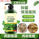 鈹管家艾草沐浴露老年人癢起紅疙瘩皮膚瘙癢百草全身癢抑菌沐浴露 艾草沐浴露1瓶(500ml)
