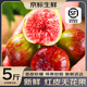 優(yōu)味集【JD/順豐現(xiàn)貨發(fā)】紅皮無花果鮮果當季云南水果糖包子汁整箱生鮮 2斤裝（單果35-80g）凈果1.8斤