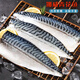 嚴(yán)謹(jǐn)挪威青花魚(yú)片新鮮冷凍青魚(yú)鮐魚(yú)似鲅魚(yú)魚(yú)類(lèi)海鮮水產(chǎn)整條青花魚(yú) 青花魚(yú)魚(yú)片500g