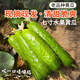密農人家新鮮七寸黃瓜 帶刺水果黃瓜 脆嫩爽口 生吃蘸醬黃瓜 新鮮蔬菜500g 七寸黃瓜500g