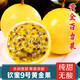 南步海南欽蜜9號百香果 蜂蜜黃金百香果原漿醬西番蓮非廣西新鮮水果 3斤 大果【單果70-90g】