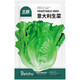 北蔬生菜種子意大利羅馬奶油生菜 【優(yōu)選種】北蔬意大利生菜種子3g