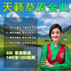 經(jīng)典草原歌曲車載u盤天籟之音高原情歌藏歌金曲無損音質(zhì)全視頻usb 32G草原精選【1400首歌+250視頻