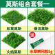 瘋狂水草（FKSC）莫斯水草活體植物魚(yú)缸造景底部前景套餐懶人陰性莫斯樹(shù)沉木水榕 莫斯水草組合A【帶水草膠】