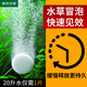 瘋狂水草二氧化碳片魚(yú)缸專(zhuān)用水草造景用品二氧化碳發(fā)生器CO2緩釋泡騰100片