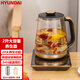 HYUNDAI韓國(guó)養(yǎng)生壺家用高硼硅玻璃電熱水壺煮茶器多功能保溫?zé)畨鼗ú鑹?玻璃面板304不銹鋼發(fā)熱盤 2升 2升【配304不銹鋼濾網(wǎng)+PP蒸籠】