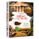 鐵路邊的孩子們 國際大獎兒童文學(xué)讀物小學(xué)生三四五六年級課外閱讀書籍青少年兒童必讀名著故事書