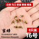 飛蠅鉤若蟲(chóng)昆蟲(chóng)幼蟲(chóng)綁制假餌擬餌仿生餌路亞餌淡水鯽魚(yú)草魚(yú)鯉魚(yú)鰱魚(yú)白條馬口青梢紅眼軍魚(yú)黃辣丁羅非小蜜蜂 16#小蜜蜂8只裝
