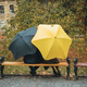 Blunt新西蘭Classic長(cháng)柄抗臺風(fēng)男士雙人傘晴雨傘風(fēng)暴傘商務(wù)男士傘禮物 黃色 120cm