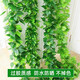 黛暢仿真藤條空調(diào)管子裝飾遮擋綠植藤蔓塑料花藤遮丑下水管道假花綠葉 66葉葡萄葉（2條）