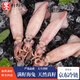 墨妍御鮮 滿籽海兔 新鮮大號(hào)真籽海兔鮮活冷凍帶籽筆管魚籽烏魷魚海 海兔2盒 2kg(凈重) 天然真籽非打籽 2斤/盒裝/30粒